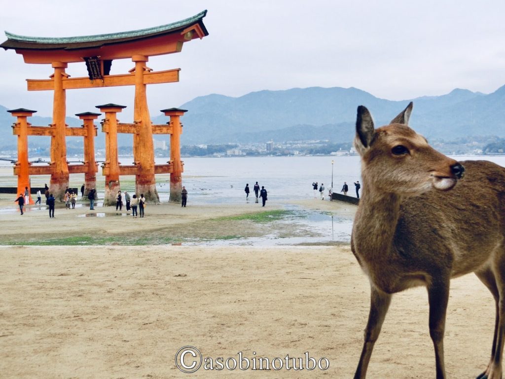 広島 世界遺産 安芸の宮島に浮かぶ神をまつる場所 厳島神社