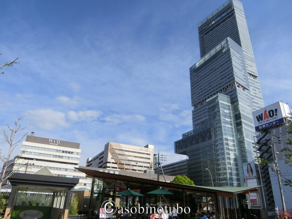 福岡市 都会の真ん中にある憩いの動物園 天王寺動物園