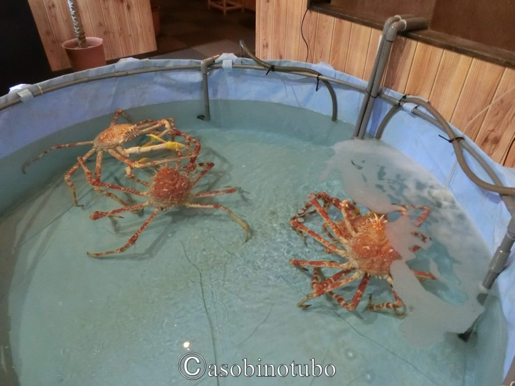 和歌山 道の駅に水族館が エビとカニの水族館 と 道の駅すさみ