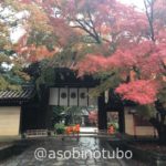 【特集】紅葉の京都を1泊２日で楽しむ旅｜清水寺、今宮神社、船岡温泉、渡月橋、あぶり餅