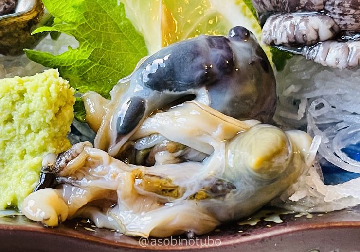 ５月の北海道 ２００年になるという八雲町の山中にある見市温泉旅館 食事編 ３泊４日函館の旅 その30